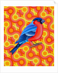 Bullfinch, 2023 by Jane Tattersfield