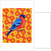 Bullfinch, 2023 by Jane Tattersfield