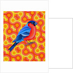 Bullfinch, 2023 by Jane Tattersfield