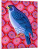Peregrine falcon, 2023 by Jane Tattersfield
