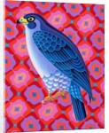Peregrine falcon, 2023 by Jane Tattersfield