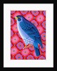 Peregrine falcon, 2023 by Jane Tattersfield