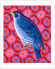 Peregrine falcon, 2023 by Jane Tattersfield