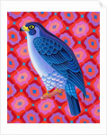 Peregrine falcon, 2023 by Jane Tattersfield