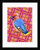 Waxwing, 2023 by Jane Tattersfield