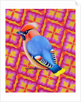 Waxwing, 2023 by Jane Tattersfield