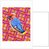 Waxwing, 2023 by Jane Tattersfield