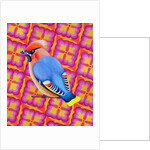 Waxwing, 2023 by Jane Tattersfield