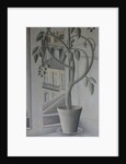 Plant in Window by Ruth Addinall