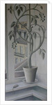 Plant in Window by Ruth Addinall
