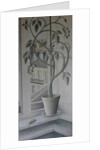 Plant in Window by Ruth Addinall