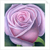 Big Rose, 2003 by Ruth Addinall