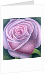 Big Rose, 2003 by Ruth Addinall