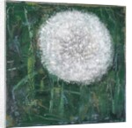 Dandelion Head, 2008 by Ruth Addinall