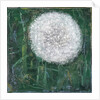 Dandelion Head, 2008 by Ruth Addinall