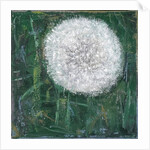 Dandelion Head, 2008 by Ruth Addinall