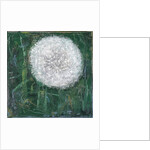 Dandelion Head, 2008 by Ruth Addinall