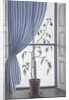 Plant in Window, 2003 by Ruth Addinall