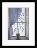 Plant in Window, 2003 by Ruth Addinall