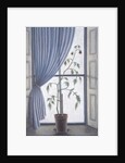 Plant in Window, 2003 by Ruth Addinall
