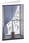 Plant in Window, 2003 by Ruth Addinall