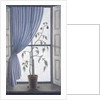Plant in Window, 2003 by Ruth Addinall