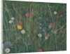 Plants of the Machair, 2008 by Ruth Addinall