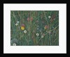 Plants of the Machair, 2008 by Ruth Addinall