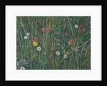 Plants of the Machair, 2008 by Ruth Addinall