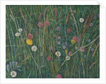 Plants of the Machair, 2008 by Ruth Addinall