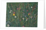 Plants of the Machair, 2008 by Ruth Addinall