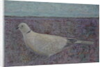 I am the Collared Dove, 2016 by Ruth Addinall