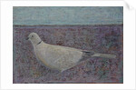 I am the Collared Dove, 2016 by Ruth Addinall
