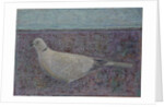 I am the Collared Dove, 2016 by Ruth Addinall