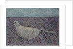 I am the Collared Dove, 2016 by Ruth Addinall