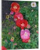 Poppies, 2009 by Ruth Addinall