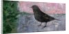 The Early Bird, 2012 by Ruth Addinall