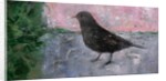 The Early Bird, 2012 by Ruth Addinall