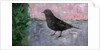 The Early Bird, 2012 by Ruth Addinall