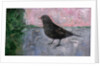 The Early Bird, 2012 by Ruth Addinall