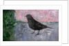 The Early Bird, 2012 by Ruth Addinall