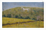 The White Horse by Ruth Addinall