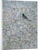 Blackbird in Tree by Ruth Addinall