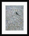 Blackbird in Tree by Ruth Addinall