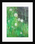 Dandelion Clocks in Grass by Ruth Addinall