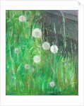 Dandelion Clocks in Grass by Ruth Addinall