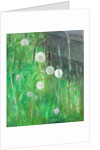 Dandelion Clocks in Grass by Ruth Addinall