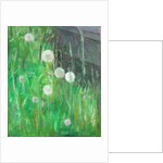 Dandelion Clocks in Grass by Ruth Addinall