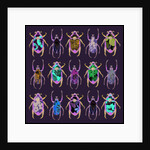 Beetledrive, 2008 by Sarah Hough