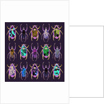 Beetledrive, 2008 by Sarah Hough